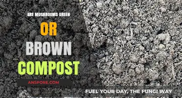 Mushroom Compost: Green or Brown?