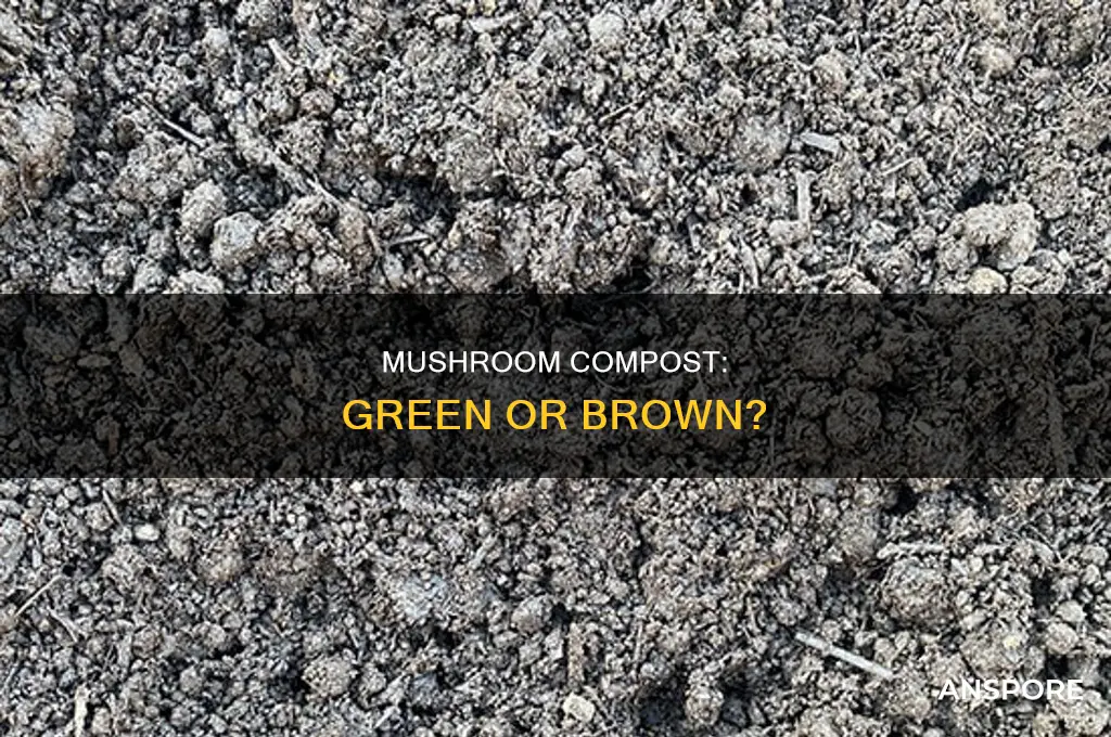are mushrooms green or brown compost