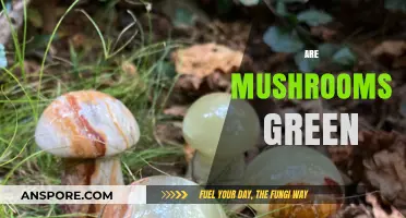 Mushrooms: Nature's Green Superfood?