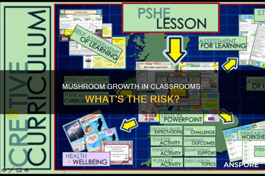 are mushrooms groeing on classroom portable harmful