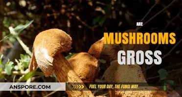Mushrooms: Delicious Delicacy or Disgusting Fungus?