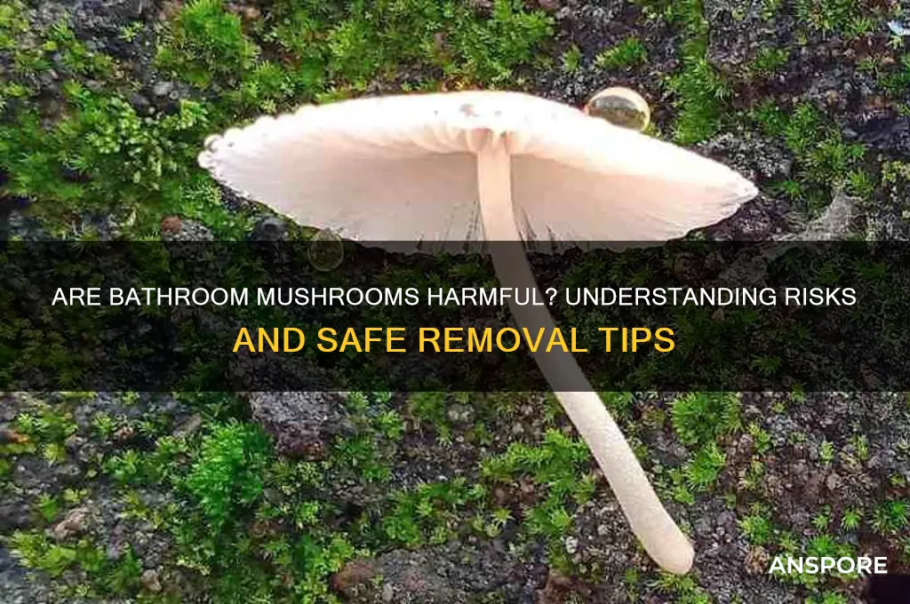 are mushrooms growing in bathroom dangerous