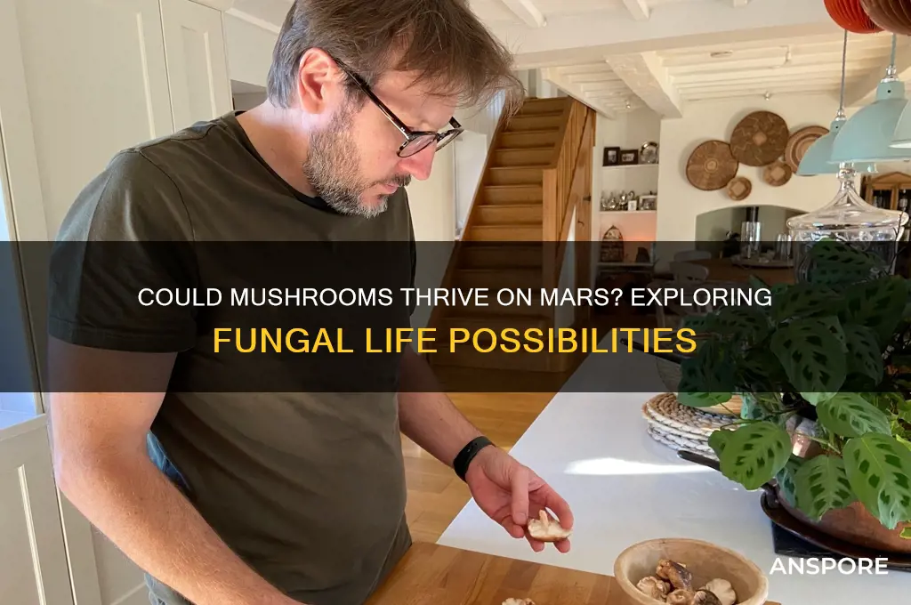 are mushrooms growing on mars