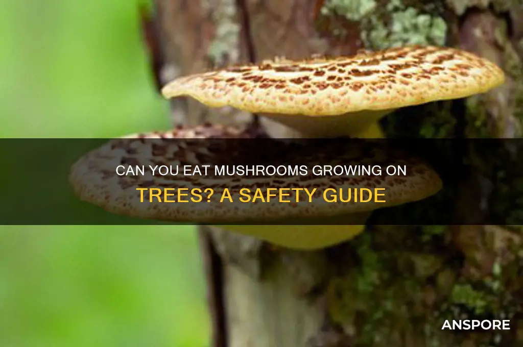 are mushrooms growing on trees edible