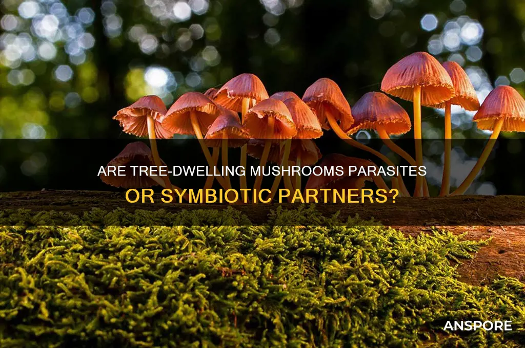 are mushrooms growing on trees parasites