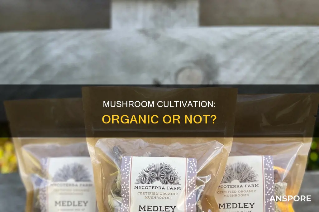 are mushrooms grown in bags organic
