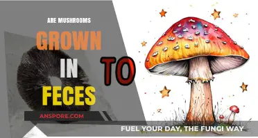 Mushroom Cultivation: Using Feces as a Growth Medium