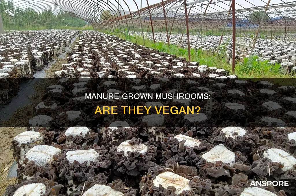 are mushrooms grown in manure vegan