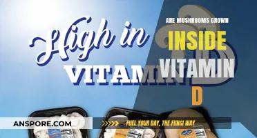 Mushrooms: Nature's Vitamin D Source?