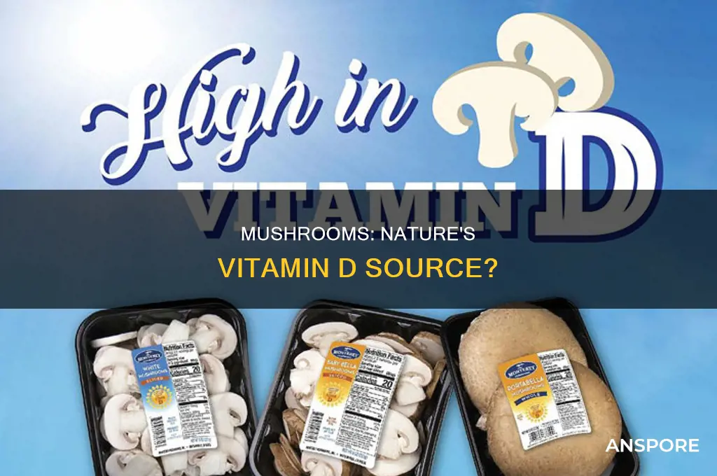 are mushrooms grown inside vitamin d