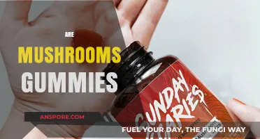 Mushroom Gummies: Are They Real?