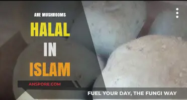Mushrooms in Islam: Halal or Haram?