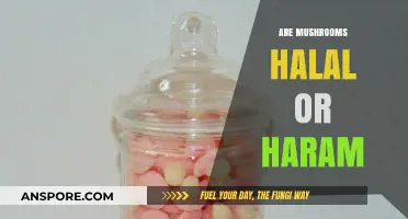 Mushrooms: Halal or Haram?