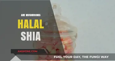 Shia Islam: Are Mushrooms Halal or Not?