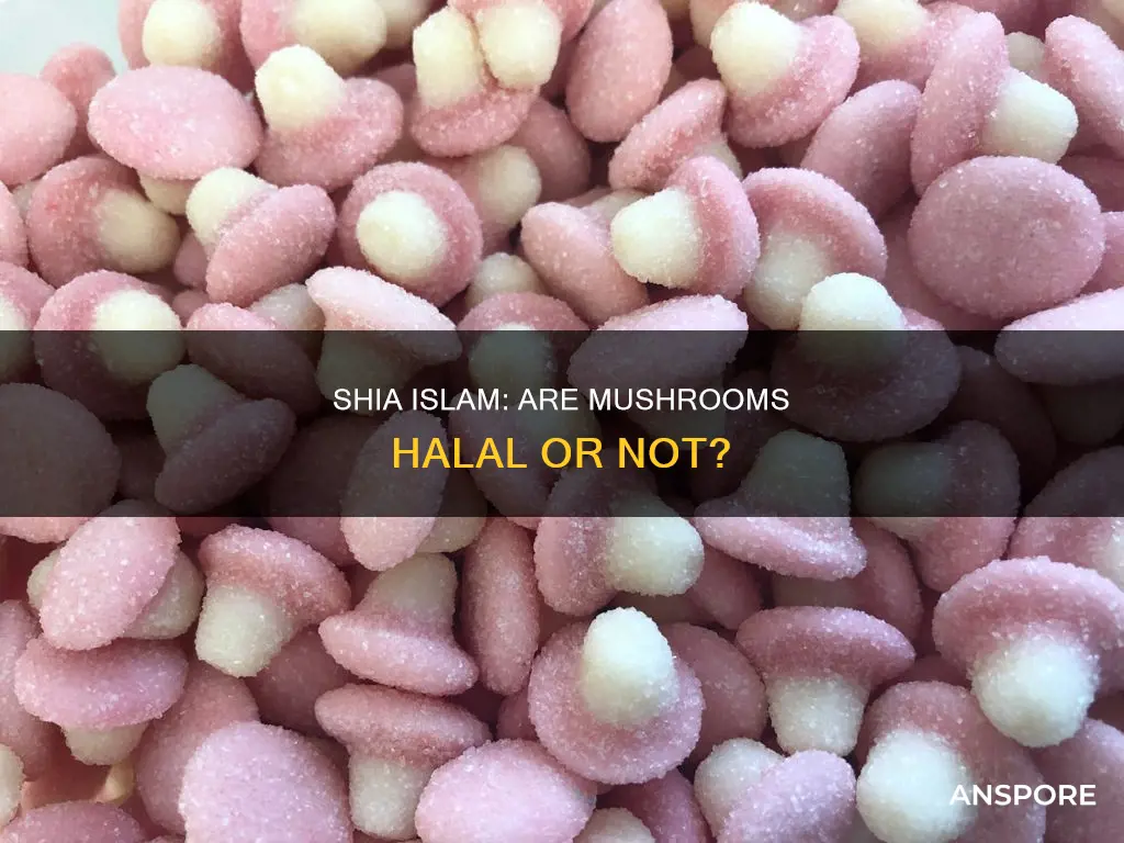 are mushrooms halal shia
