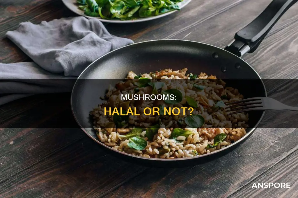 are mushrooms halal