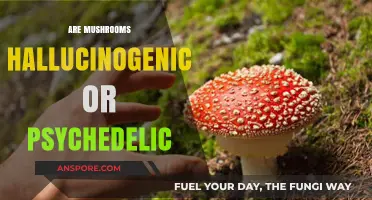 Mushrooms: Hallucinogenic, Psychedelic, or Both?