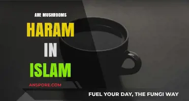 Mushrooms in Islam: Halal or Haram?