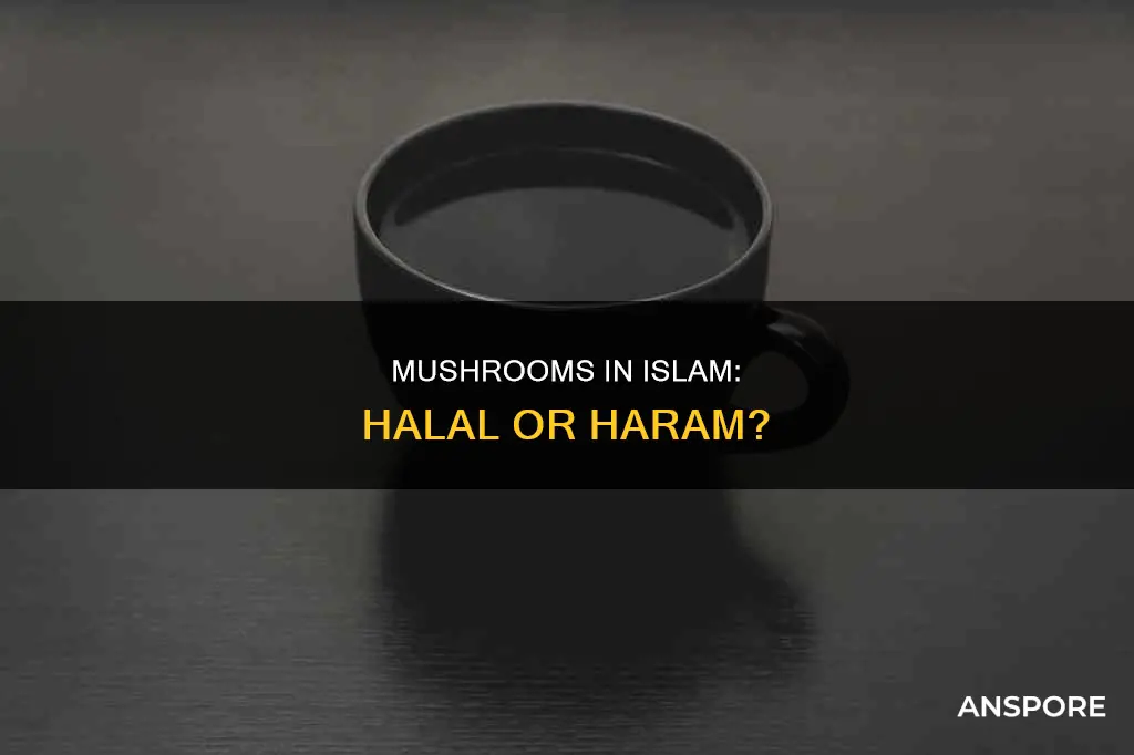 are mushrooms haram in islam