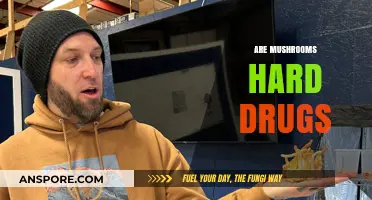 Mushrooms: Hard Drugs or Not?
