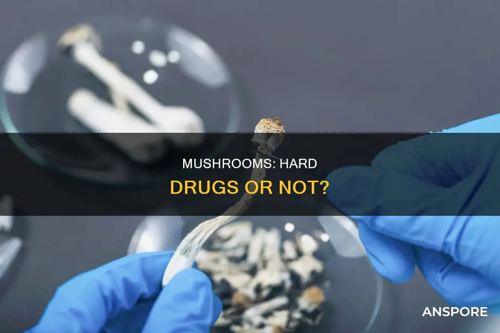 are mushrooms hard drugs