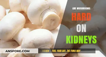 Mushrooms and Kidney Health: What's the Link?