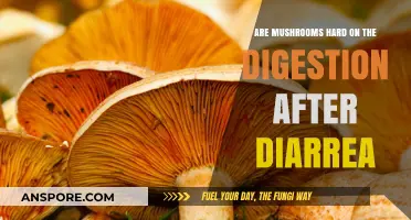Mushrooms and Digestion: Friend or Foe?