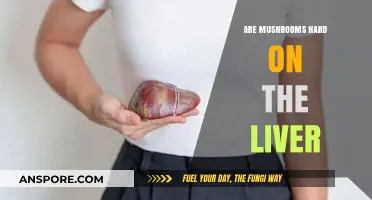 Mushroom Consumption: Liver Detox or Damage?