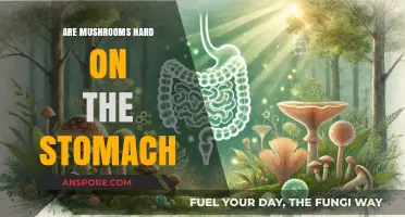 Mushrooms: Friend or Foe to Your Gut?