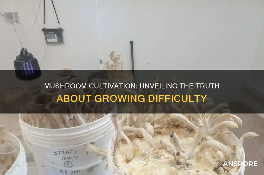 are mushrooms hard to grow