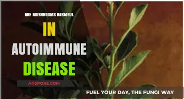 Mushrooms and Autoimmune Diseases: Harm or Help?
