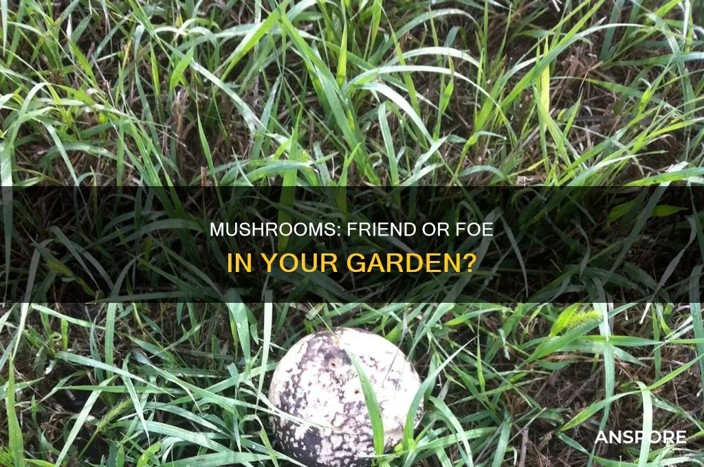 are mushrooms harmful to my garden