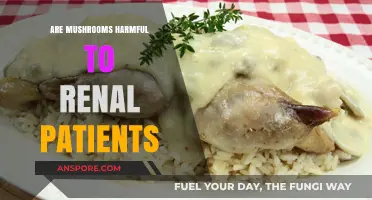 Mushrooms and Kidney Disease: What's the Connection?