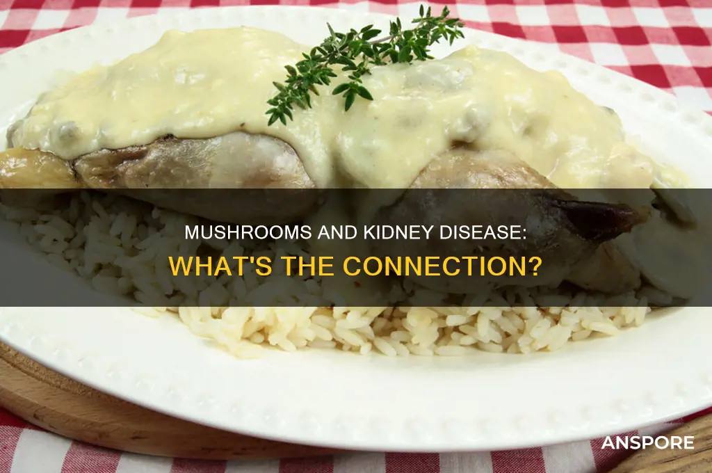 are mushrooms harmful to renal patients