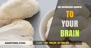 Mushrooms: Brain Benefits or Harm?