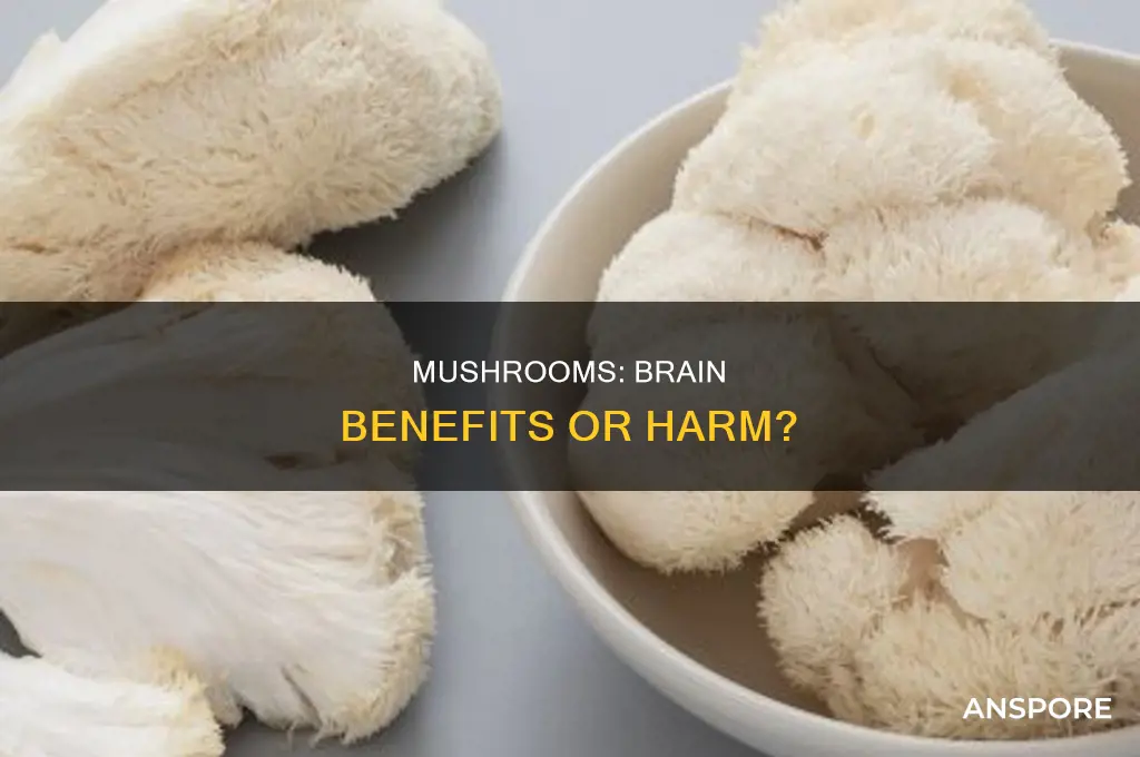are mushrooms harmful to your brain