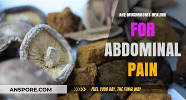 Mushrooms: Natural Healers for Abdominal Pain?