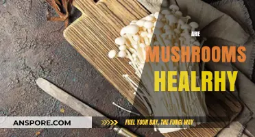 Mushrooms: Superfood or Super-Risky?