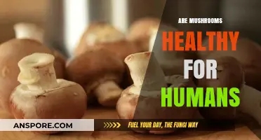 Mushrooms: Healthy Superfood or Harmful Fungus?