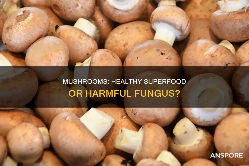 are mushrooms healthy for humans