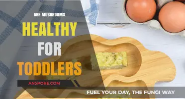 Mushrooms: Healthy Superfood for Your Toddler?