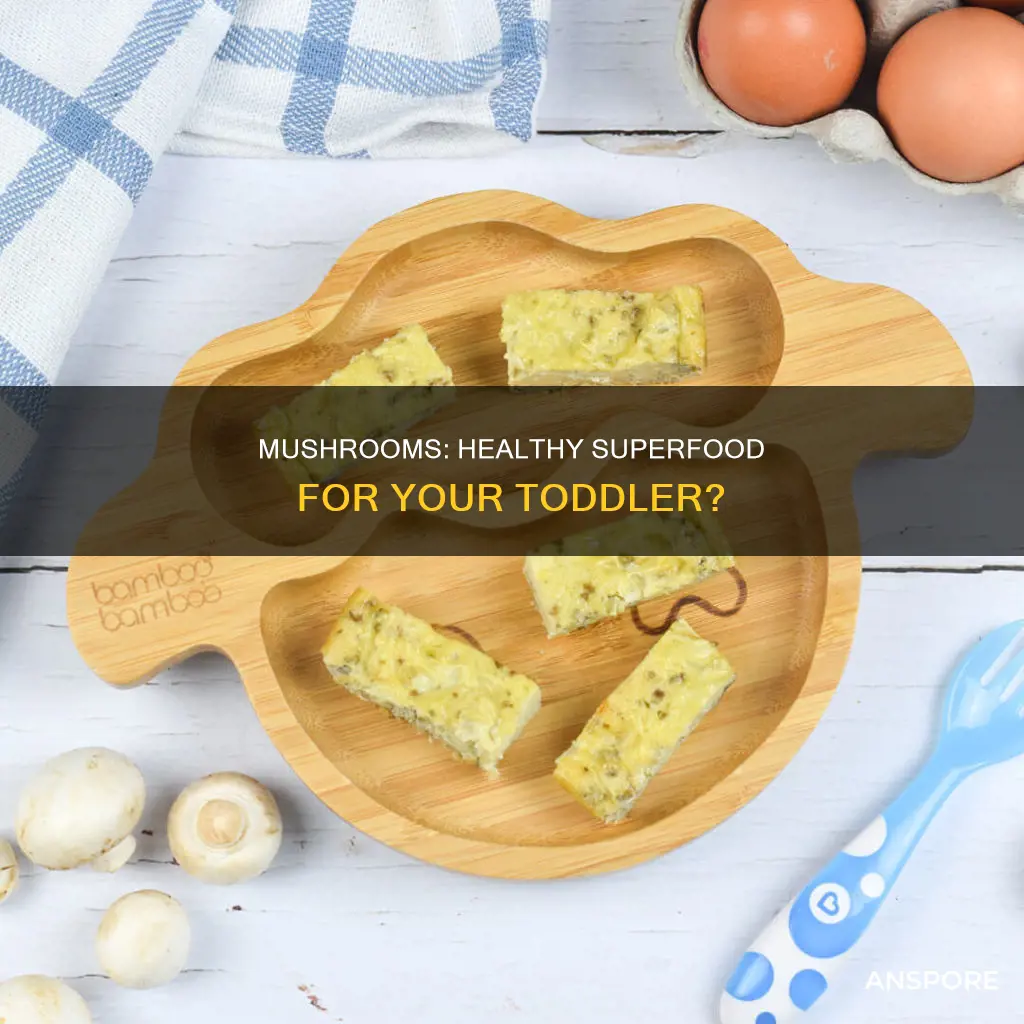 are mushrooms healthy for toddlers