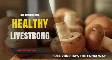 Mushrooms: Healthy Superfood or Just Fungi?