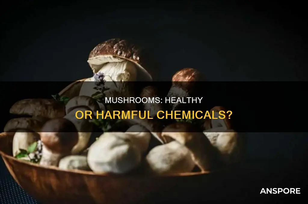 are mushrooms healthy with all the chemicals