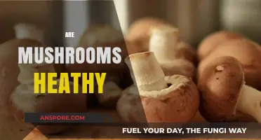 Mushrooms: Superfood or Super-Risky?