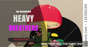 Mushrooms: The Heavy Breathers of the Fungi World