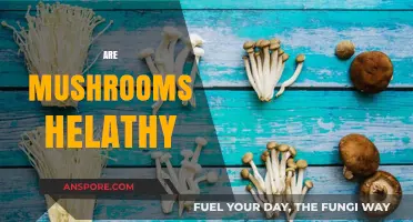 Mushrooms: Superfood or Super-Risky?