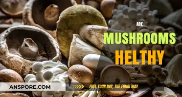 Mushrooms: Superfood or Super-Risky?