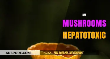 Mushrooms: Hepatotoxic or Healthy?