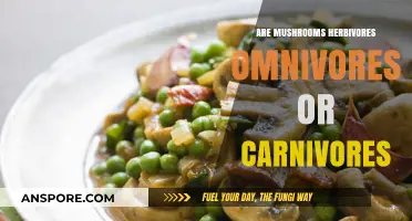 Mushrooms: The Dietary Habits of Funghi Explored